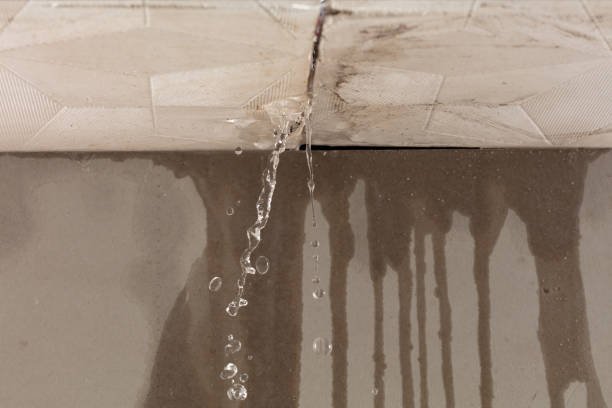 Professional Burst Pipe Cleanup technician working in Dolomite, AL
